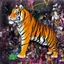 Placeholder: tiger by David Choe