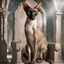 Placeholder: cinematic, dark fantasy masterpiece where a majestic Oriental Shorthair Siamese with chocolate-point markings and piercing, luminous blue eyes sits with absolute sovereignty upon a colossal, crumbling obsidian throne deep within a forgotten crypt. The aesthetic is a visceral fusion of Brom’s macabre elegance and Frank Frazetta’s raw, muscular composition, executed as a high-contrast mixed media collage that blends surreal photography with grit-laden concept art. The cat’s sleek, alien silhouette