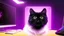 Placeholder: Cute black cat sitting on a gaming chair, in front of a gaming PC table, in a dark room with purple lights and gaming posters, atmospheric, gorgeous, realistic