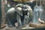 Placeholder: Elephant in a crystal shop