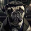 Placeholder: a medium quality image of "The pug in the TV series Peaky Blinders", TV show character, cute, adorable, pet photography, close up, realistic, front view, 4k