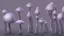 Placeholder: tall narrow delicate detailed mushrooms, with umbrella caps, phosphorescence glowing in the night