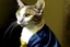 Placeholder: cat with pearl earring, vermeer