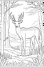 Placeholder: coloring page, woodland retreat, Majestic Deer in the Forest, full view, realistic, coloring page, only draw lines, coloring book, clean line art, –no sketch, color, –ar 3:4, white background, minimalistic black lines, minimal black color, low level black colors, coloring page, avoid thick black colors, thin black line art, avoid colors, perfect shape, perfect clear lines,