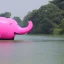 Placeholder: boat that is too a pink elephant