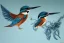 Placeholder: A beautiful kingfisher diving out of water, fish in beak. Waterpearls on feathers. Highly detailed, smooth colours, realistic landscape