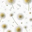 Placeholder: scattered powder on a white background, dandelions scattered nearby, top view