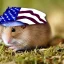 Placeholder: Hamster 9/11