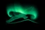 Placeholder: graphic shape of the aurora borealis with bottom edge resemblance to an hawk in flight. smooth vector on black