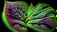 Placeholder: rendering of plant leaf in quantum physics style, leaf pores visible, psychedelic shimmering colors