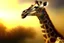 Placeholder: cover book art of lgiraffe wih stuning calm color