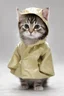 Placeholder: baby cat in raincoat. Chibi, Photograph, Canon DSLR, Tilt - shift, white background, high definition, Complete and coordinated composition, 8k