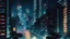 Placeholder: city at night