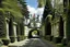 Placeholder: castle driveway over arched with trees