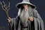 Placeholder: gandalf the gray