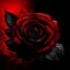 Placeholder: Create black rose and red background