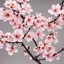 Placeholder: The cherry blossom branches would be depicted with thin and graceful lines, capturing their natural flow and organic structure. The branches may have a slightly wavy or curved appearance, giving them a more realistic and dynamic feel. Buds can be included alongside the fully bloomed flowers, showcasing the different stages of the cherry blossom's life cycle. These buds can be depicted as small, rounded shapes, often positioned close to the main flower or scattered along the branches. Leaves can