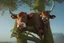 Placeholder: cow stuck in the top of a tree can not get down