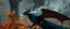 Placeholder: portrait of asquirrel black dragon in autumn, breathing smoke