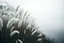 Placeholder: Ultra-realistic cinematic photo of tall pampas grass with white feathery plumes, swaying softly in the wind, beside a slow river reflecting the grey sky, soft mist rising, atmosphere of nostalgia, inner sadness and hidden beauty, detailed textures, emotional, enchanting, poetic landscape