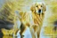 Placeholder: style of gerhard richter Golden retriever dog