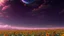 Placeholder: purple sky full of stars, sunflower field, anime, high res, makoto shinkai