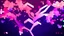 Placeholder: sakura theme