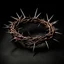 Placeholder: crown of thorns