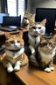 Placeholder: boss of cats