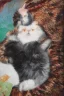 Placeholder: painting of a cat painting a portrait