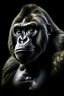 Placeholder: bear gorilla