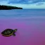 Placeholder: turtle and pink sky and pink sea