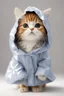Placeholder: baby cat in raincoat. Chibi, Photograph, Canon DSLR, Tilt - shift, white background, high definition, Complete and coordinated composition, 8k
