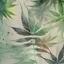 Placeholder: generate a smokey weed wallpaper with asymetrical random weed pattern bplacement, watercolour sketch