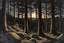 Placeholder: Night, trees, mountains, rocks, richard estes paintings