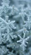 Placeholder: frost texture background
