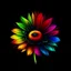 Placeholder: Create neon rainbow sunflower and black background