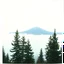 Placeholder: A polaroid photo of a group of fir trees in the background and a high hill in the distance. A lake. The surface below is in a pastel color. Okrson. Fog is present.