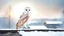 Placeholder: a barn owl sitting an old ruined rooftop and looking to te camera, over a winter landscacpe with european forest , little light, sunrise, one old ruined small hut from stands above, high detailed, sharp focuses, photorealistic, perspective, cinematic