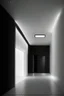 Placeholder: Black veined walls and a white floor with a rectangular reception and hidden lighting