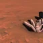 Placeholder: 3d woman giving birth on mars