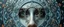 Placeholder: close up portrait of a double mirror soul gate oracle