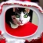 Placeholder: The hell of mirrors cat of santa