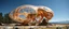 Placeholder: benign transparent superwood alien space craft structure with exoskeleton