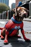 Placeholder: Si spiderman fuera un perro