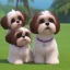 Placeholder: shih tzu dog brown and white