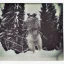 Placeholder: unusual multilegged and multiple eyed animal cryptid in the snow polaroid vintage style realistic