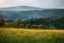 Placeholder: [very impressive high res masterpiece in Kodak Eastman 5247, bokeh scene by László Krasznahorkai] a landscape