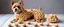 Placeholder: carpenter dog made of muffins