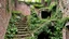 Placeholder: Nature has reclaimed this artificial space, allowing vegetation to grow over the stone staircase and spread throughout the abandoned brick structure, even filling its interior spaces. This symbolizes nature's resilience and its eventual triumph over human endeavors. It suggests that even the most robust constructions will succumb to the forces of nature if left unattended, highlighting the impermanence of human creations in the face of time and the constant growth of the natural world.